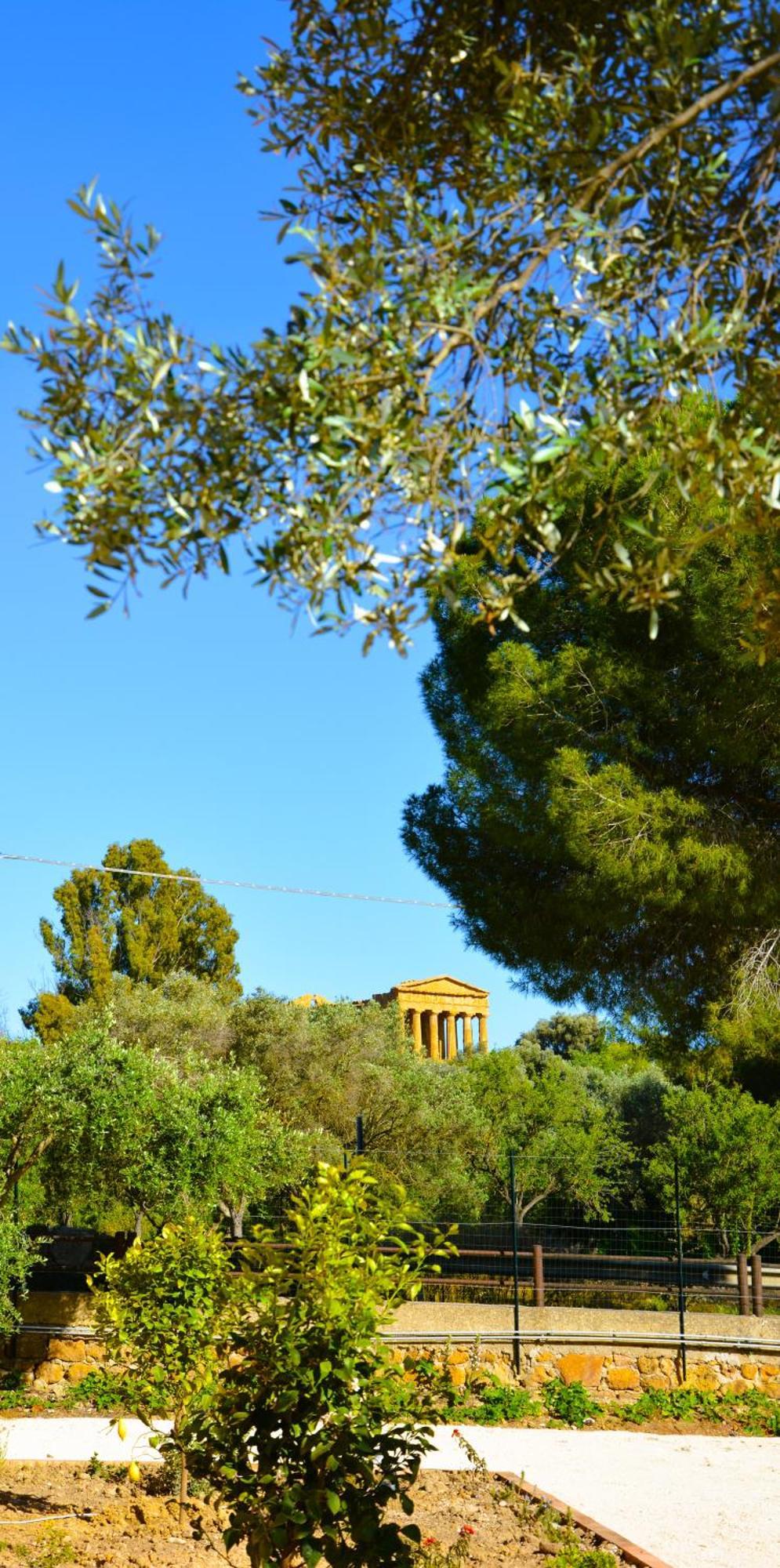 לינה וארוחת בוקר אגריג'נטו Il Giardino Del Tempio מראה חיצוני תמונה