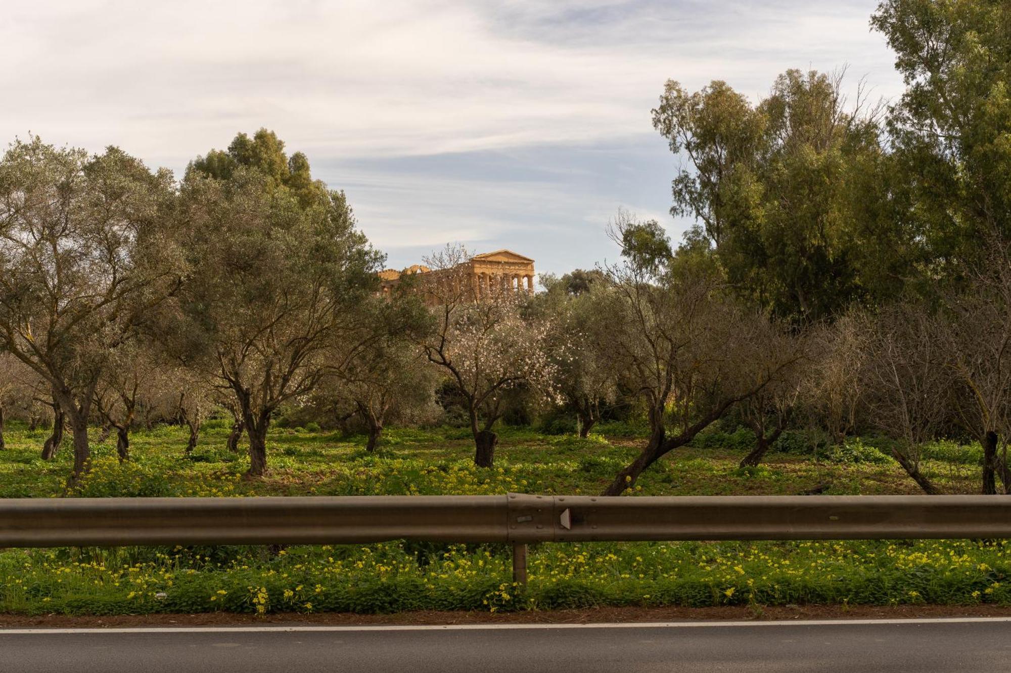 לינה וארוחת בוקר אגריג'נטו Il Giardino Del Tempio מראה חיצוני תמונה